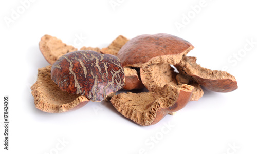 Dried peels of Hyphaene thebaica, doum palm or gingerbread tree (also doom palm). Isolated.
