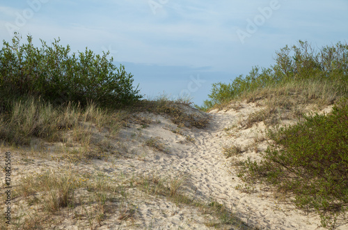 View to the sea coastline.