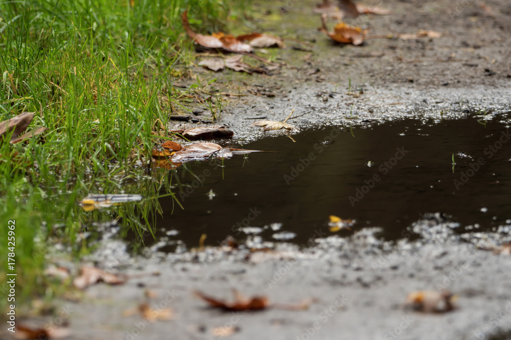Fototapeta premium Puddle on the way after the rain