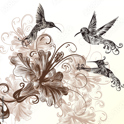 Floral background with hummingbirds and hibiscus flowers