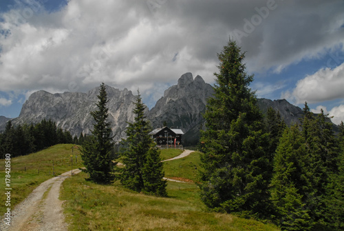 Fir trees along a path to Admonter Reichenstein in the alps, Austria, under dark clouds photo