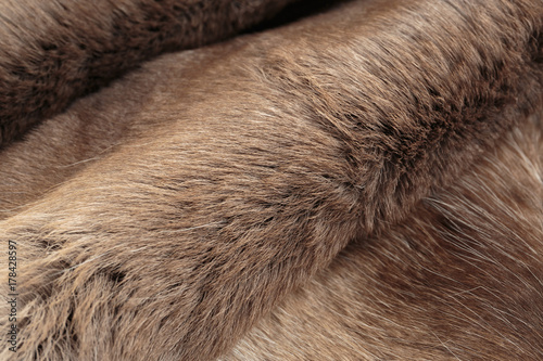 Reindeer fur background