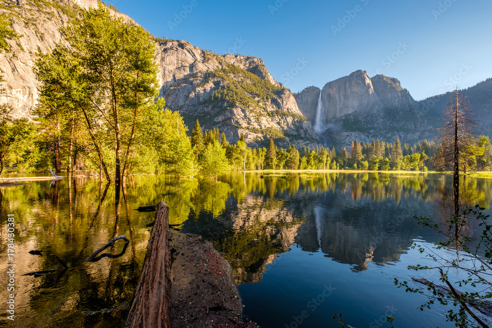 Naklejka premium Merced River and Yosemite Falls landscape
