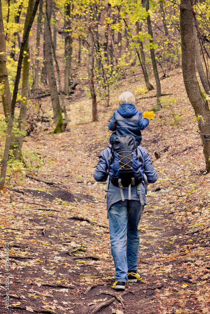 Father with his son on his shoulders walking in the autumn forest. Back view