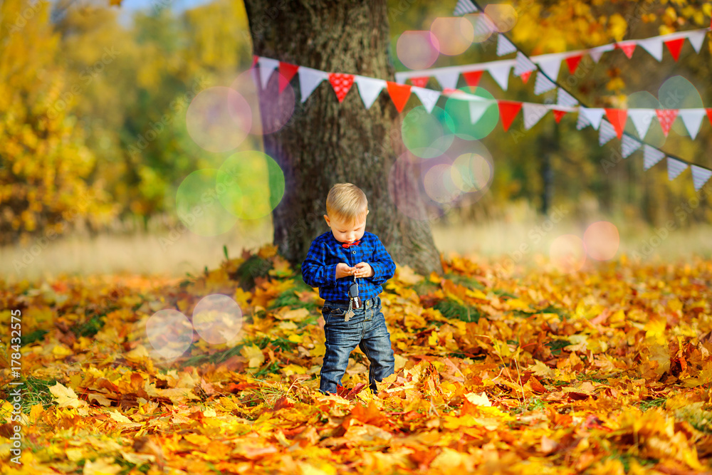 happy kid walks in a beautiful autumn park. happy kid walks in a beautiful autumn park.