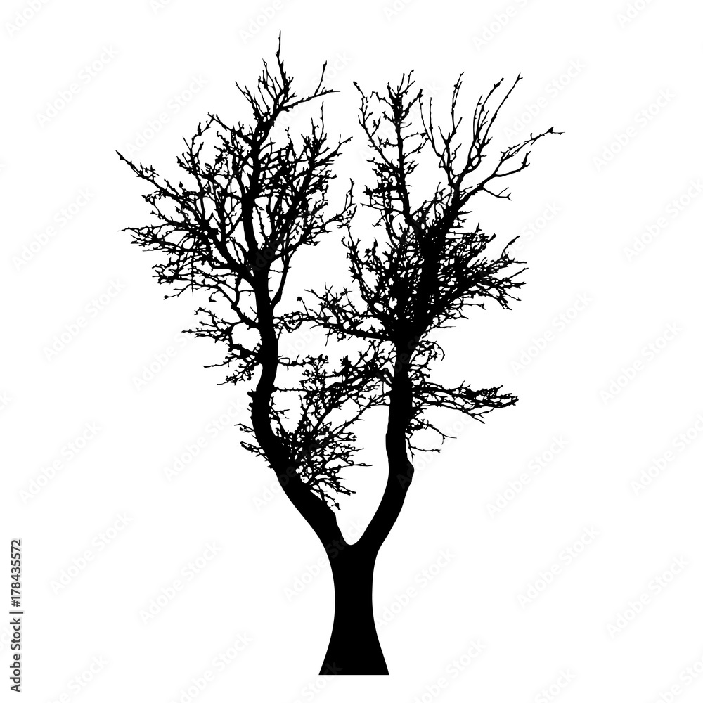 Fototapeta premium Vector silhouette of tree on white background.