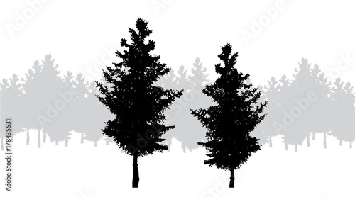 Vector silhouette of forest on white background.
