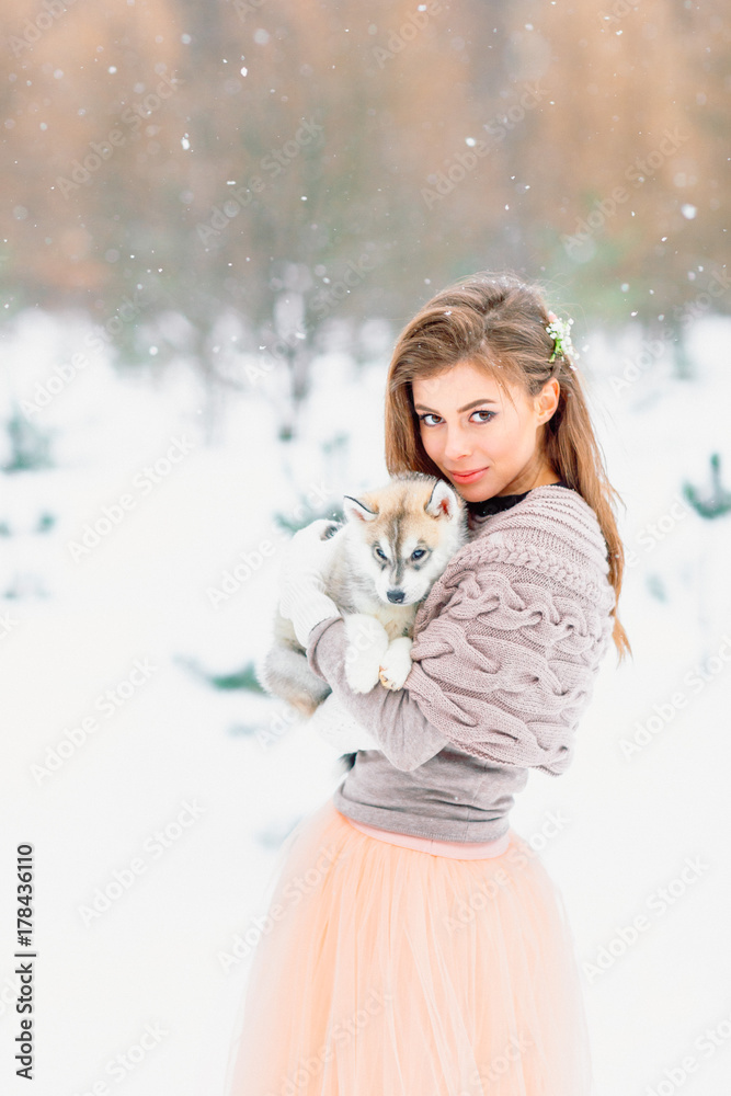 Beautiful bride holding a dog and looking at the camera. Beautiful bride holding a dog and looking at the camera.