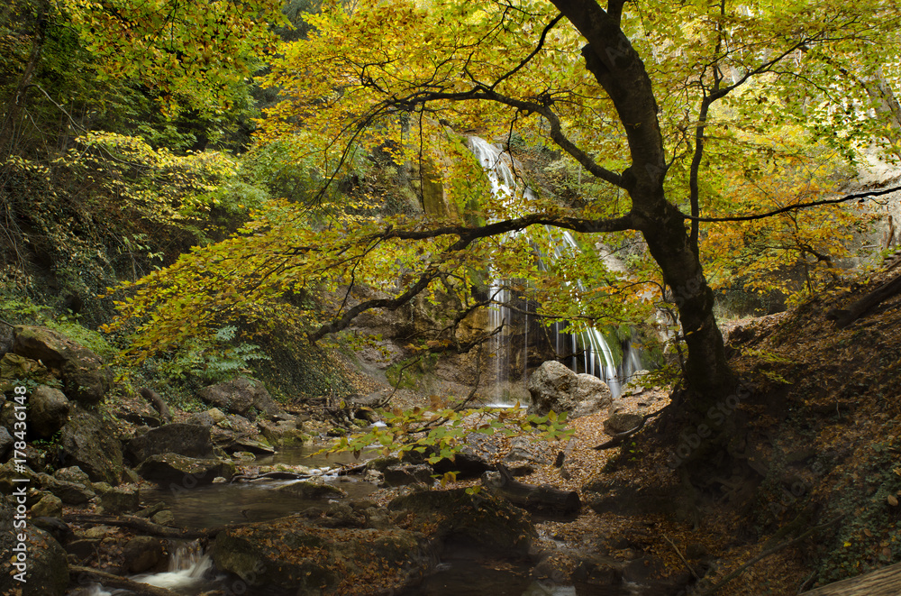 silhouette of а tree in a canyon above a mountain stream silhouette of а tree in a canyon above a mountain stream