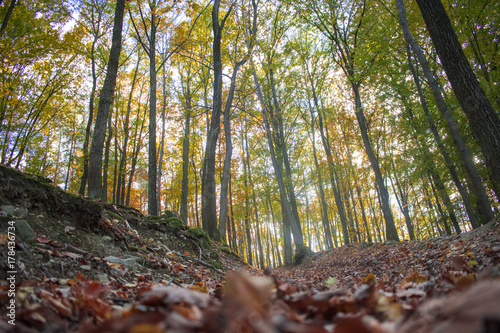 Amazing landscapes from the Obora Holedna forest park in Brno