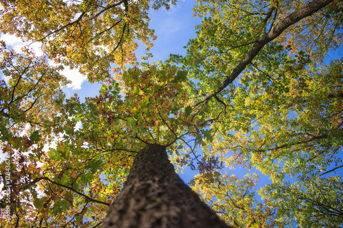 Amazing landscapes from the Obora Holedna forest park in Brno