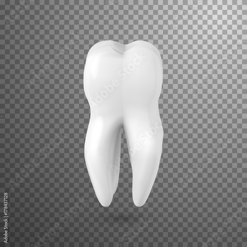 Illustration of Vector Tooth Icon. Realistic Teeth Isolated on Transparent Overlay Background