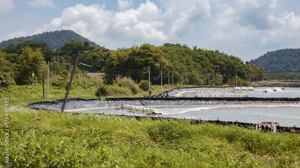 Farm for cultivation of lobsters in Thailand