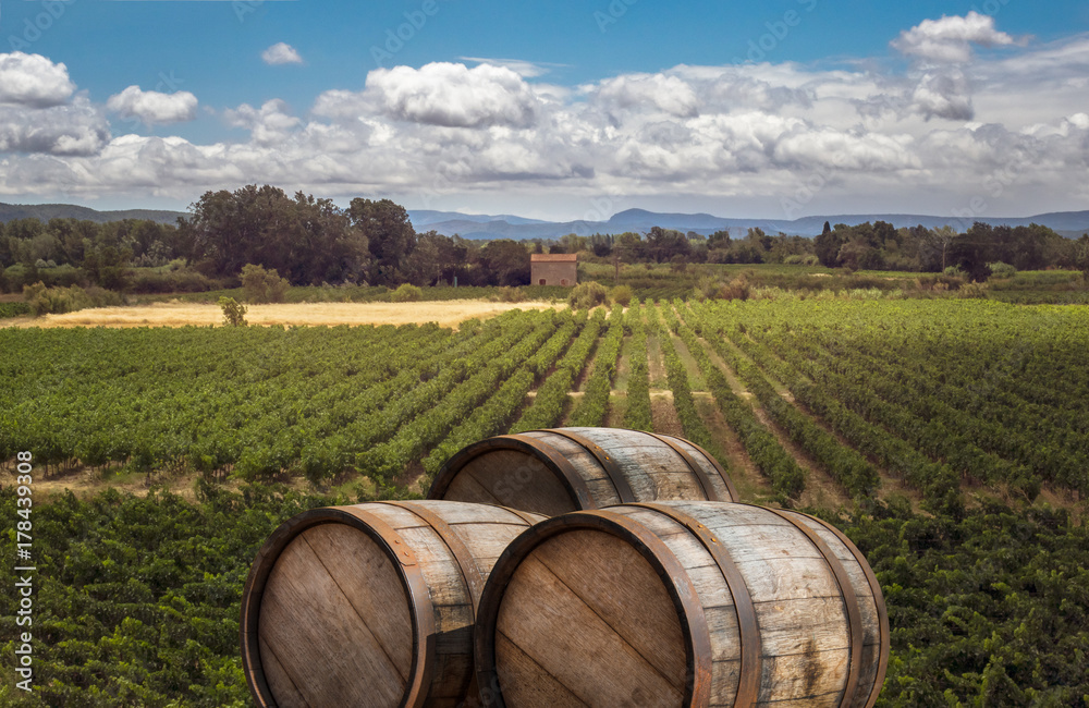 Landscape with vineyards and pile of oak wooden barrels - traditional view of grape valley and winery.