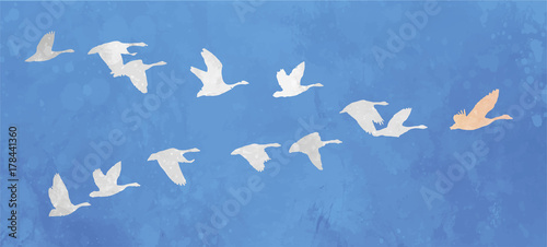 Flock of birds Leadership concept