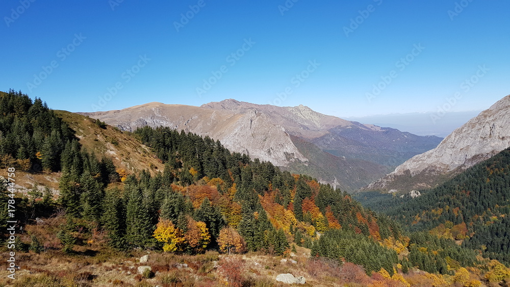 Fototapeta premium Chiusa di Pesio - Percorso per Rifugio Garelli