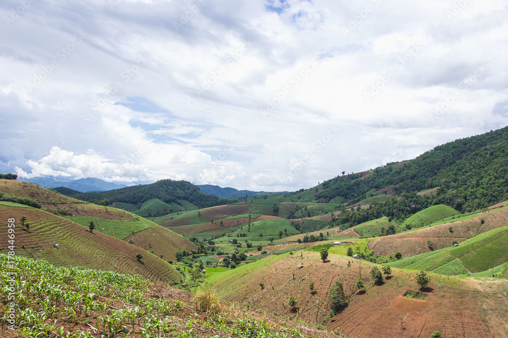 View of tropical forest mountains in Chaingmai province, Thailand