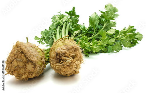 Fresh celery root with leaves isolated on white background two bulbs photo