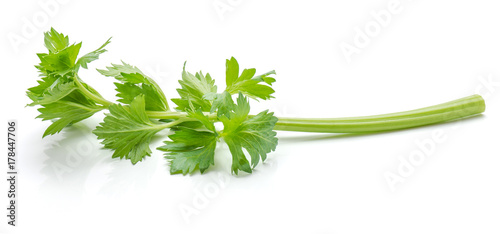 Close-up one stick of fresh celery with leaves isolated on white background photo