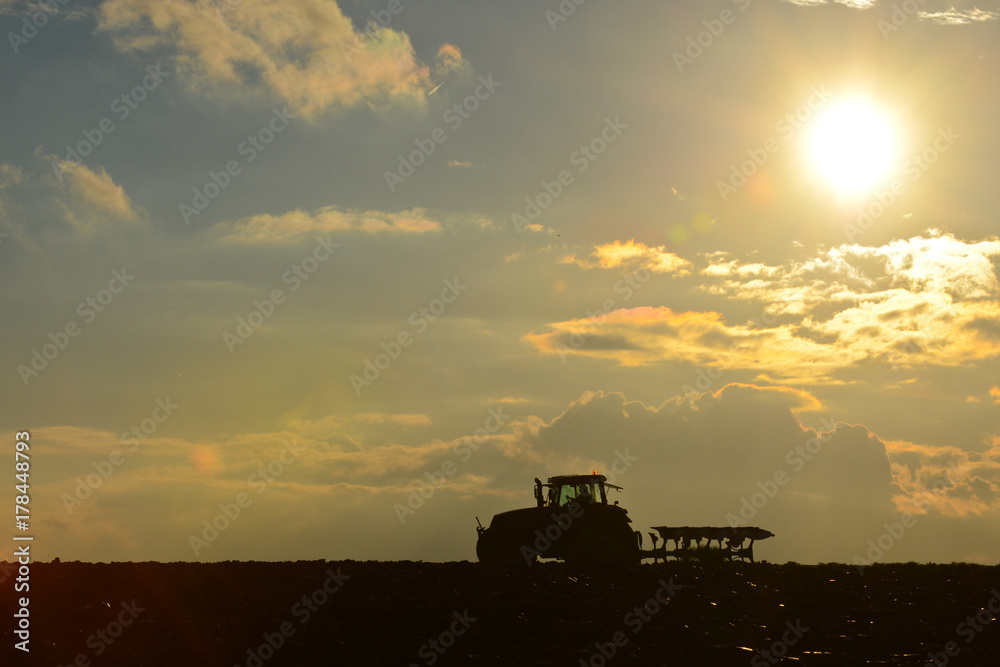 Fototapeta premium agriculture