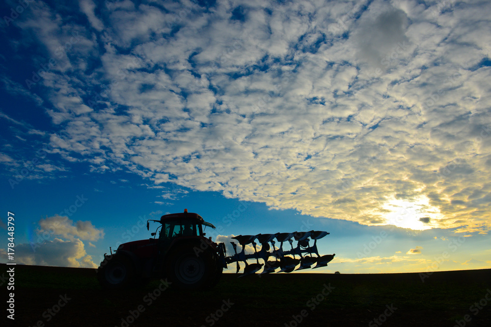 Fototapeta premium agriculture