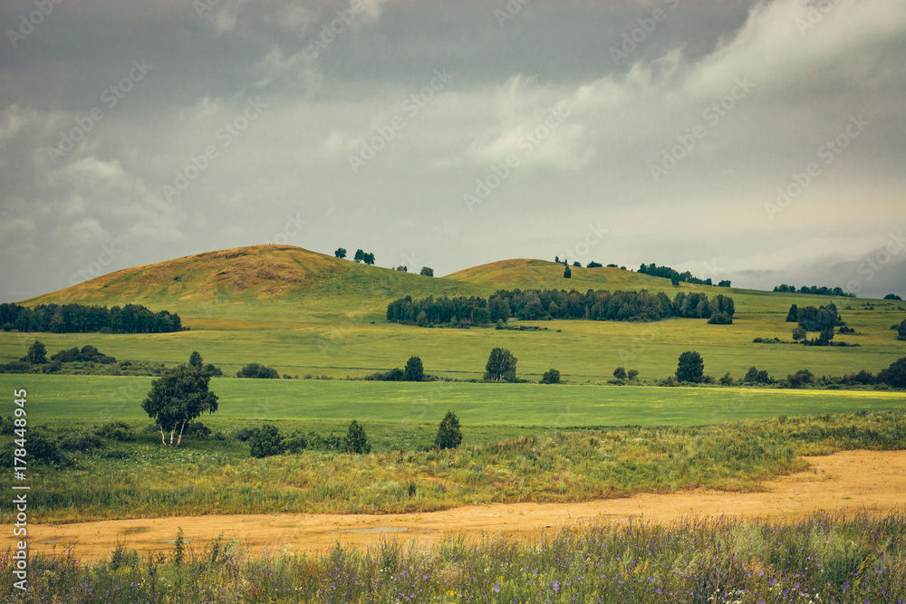 Fototapeta premium A hilly green landscape with a dirt road, trees and a cloudy gray sky.