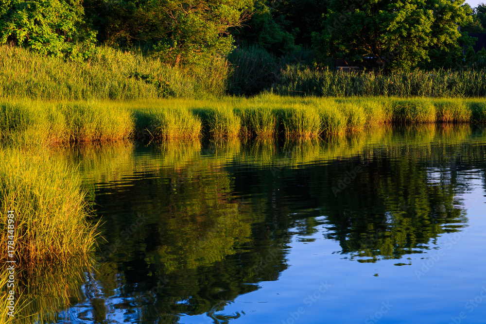 Bay area with grasses and water reflection off dock in summertime Bay area with grasses and water reflection off dock in summertime