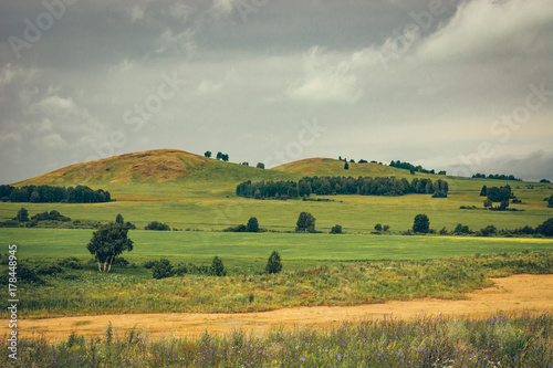 A hilly green landscape with a dirt road, trees and a cloudy gray sky. © Daniil