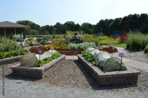 Vegetable beds in the garden