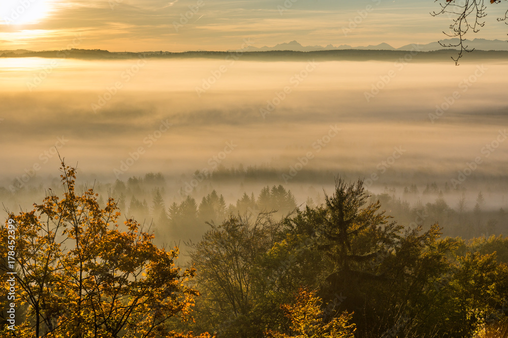 Fototapeta premium Sonnenaufgang über dichtem Nebel im Alpenvorland