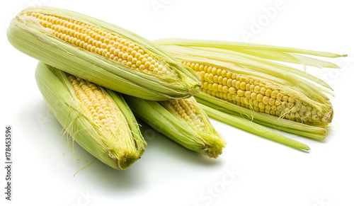 Group of four sweet corn isolated on white background