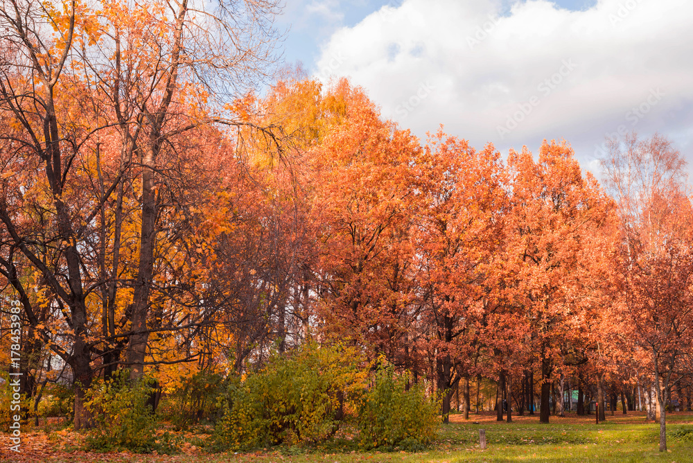 Fototapeta premium Autumn landscape of Russia