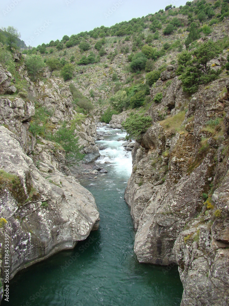 Vue du pont génois d'Asco - Corse