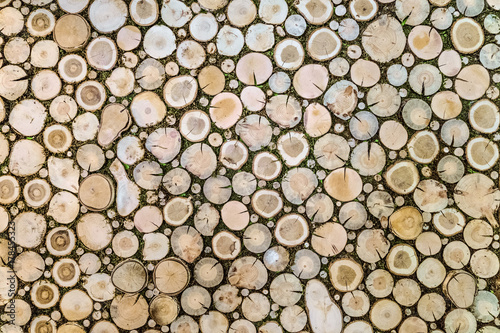 Wooden stumps natural decoration background
