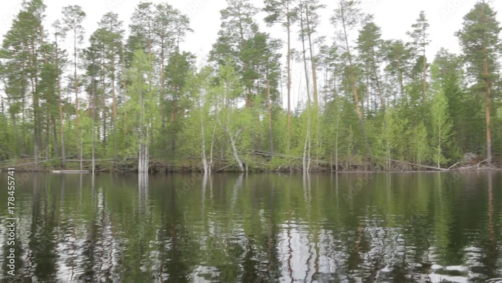 Flooding on the taiga river. The camera approaches the shore and turns in different directions Flooding on the taiga river. The camera approaches the shore and turns in different directions