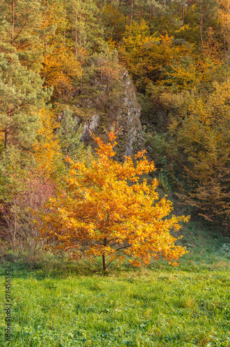 Autumn in Poland, colorful Dolina Kobylanska (Kobylanska Valley) near Krakow