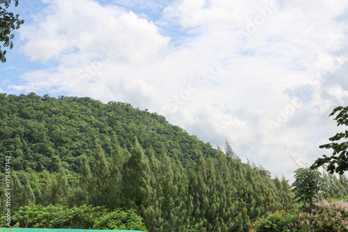 white cloud, blue sky and green mountain in day time