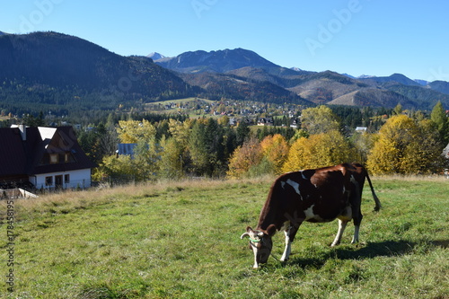Obraz na płótnie Tatry