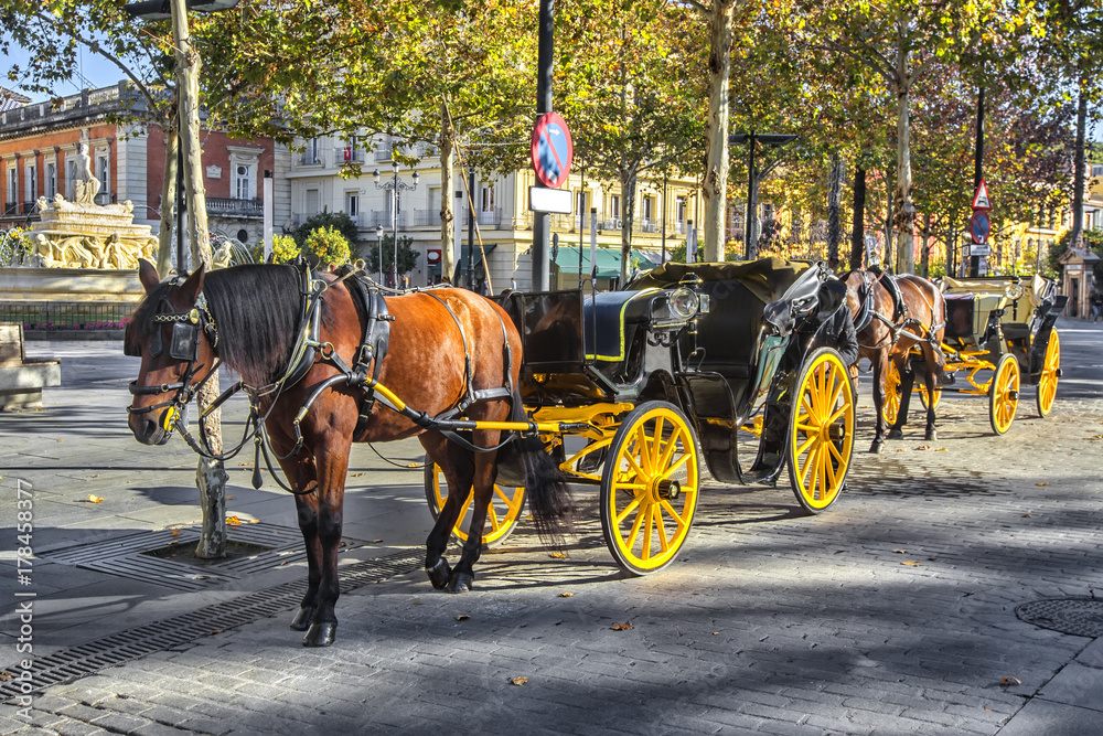 Traditional horse carriage in Seville Andalusia Spain.