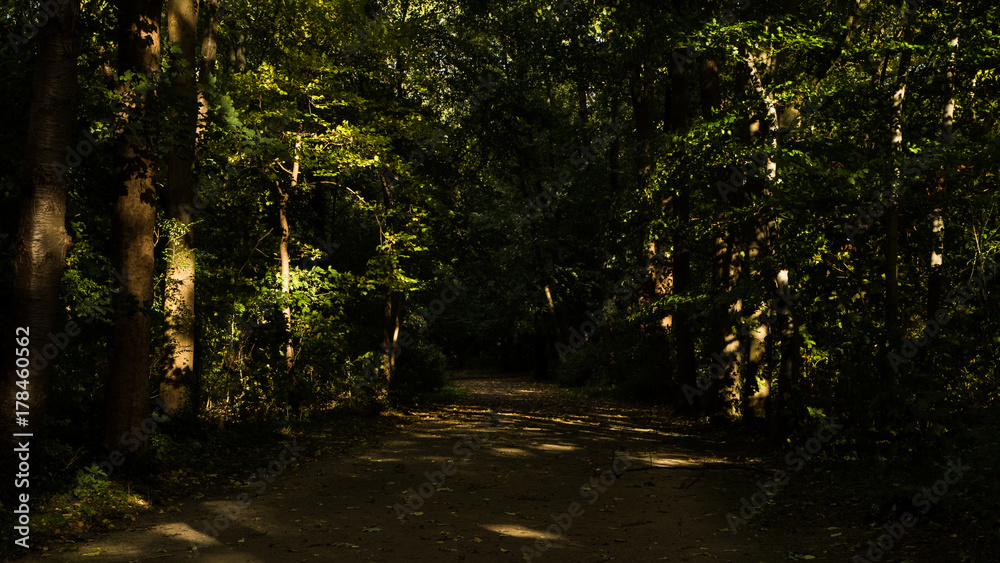 Naklejka premium Nature Photography