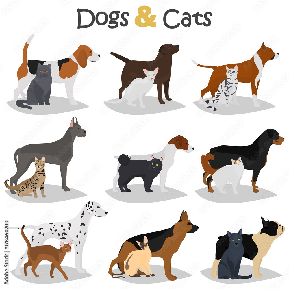 Set of dogs and cats different breeds color flat icons set