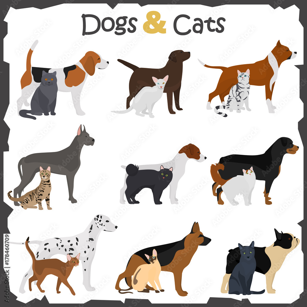 Set of dogs and cats different breeds color flat icons set