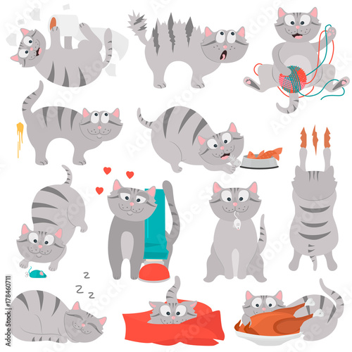 Happy life of a cat color flat illustration set