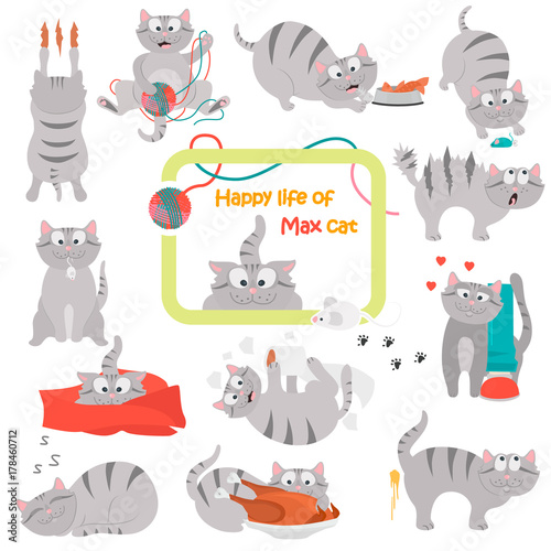 Happy life of a cat color flat illustration set