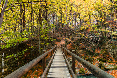colorful autumn landscape at urederra source, Spain photo