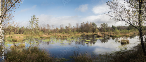 Panorma of a beautiful moor landscape in the lueneburger heide photo