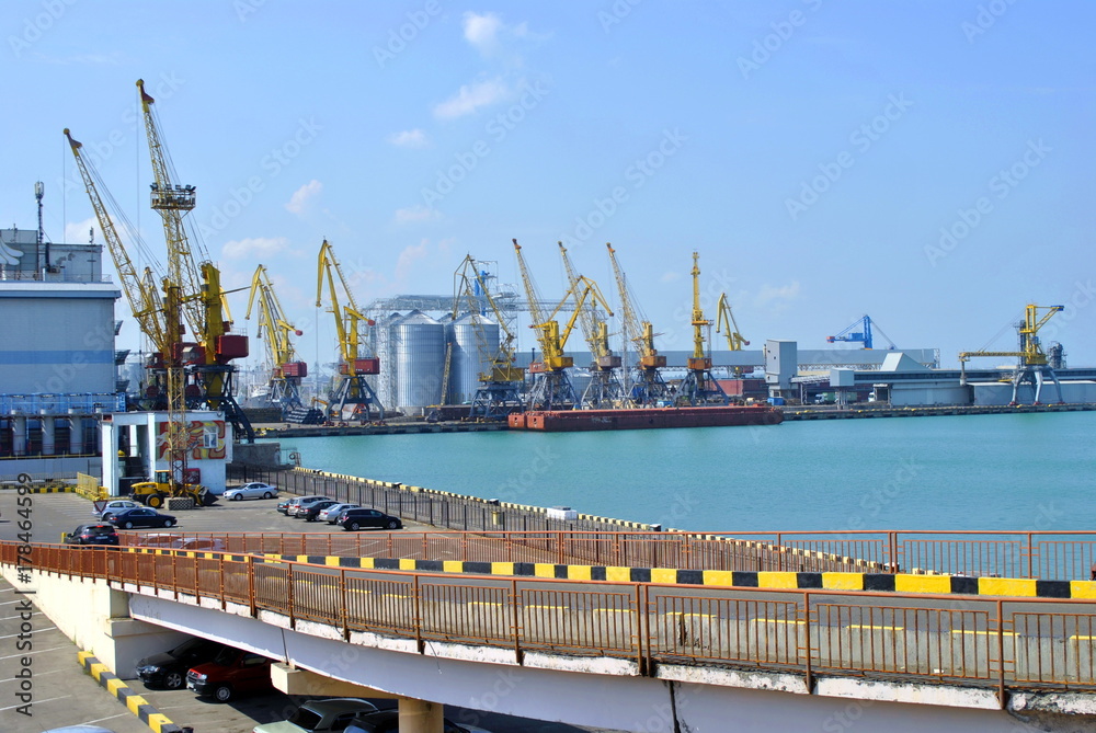 Fototapeta premium cranes in the sea harbor