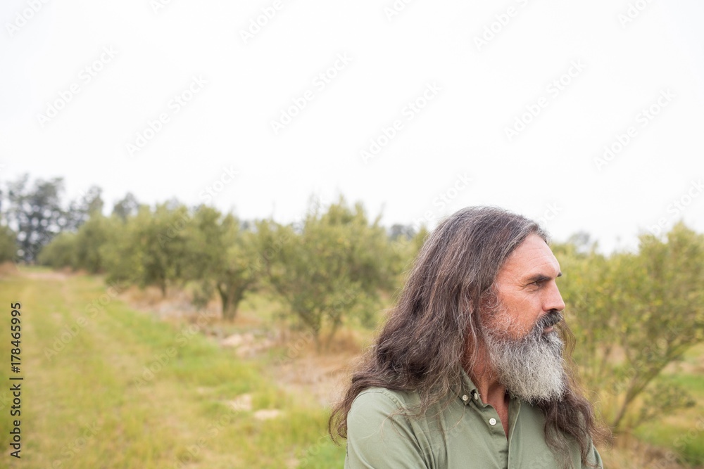 Thoughtful man standing in olive field Thoughtful man standing in olive field