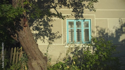 An old, abandoned house in the village, on a background of trees. photo