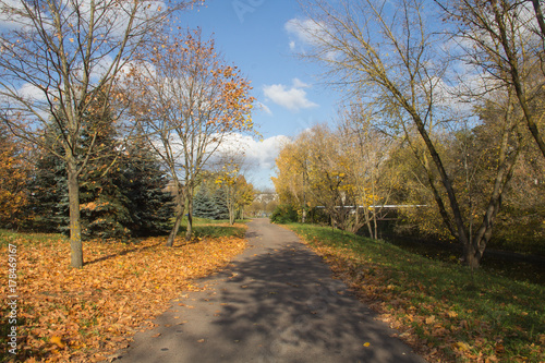 road in a park among trees in autumn © t_Nt